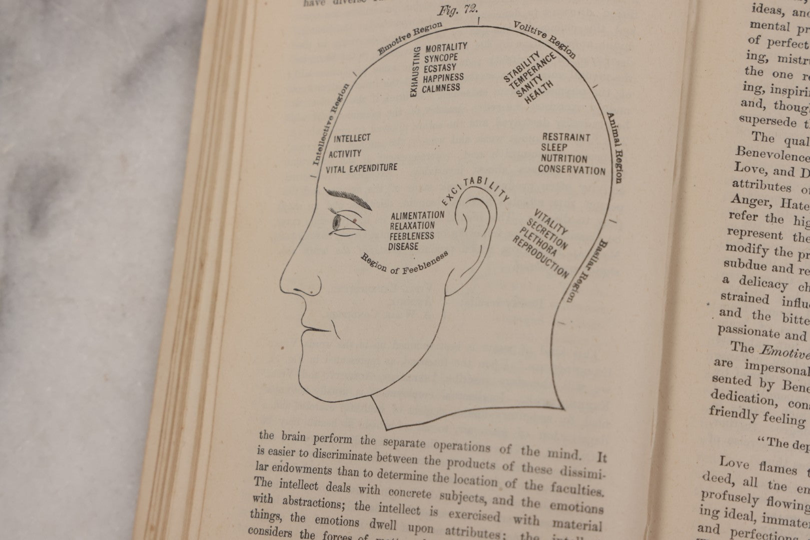 Lot 051 - "The People's Common Sense Medical Adviser In Plain English, Or, Medicine Simplified" Antique Illustrated Medical Book By R.V. Pierce, M.D., Seventy-First Edition, Buffalo, New York, 1895