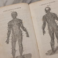 Lot 052 - "First Book On Anatomy, Physiology, And Hygiene, For Grammar Schools And Families" Antique Medical Book By Calvin Cutter, M.D. With 83 Engraved Illustrations, Stereotype Edition, Published By Benjamin B. Mussey & Co., Boston, 1850