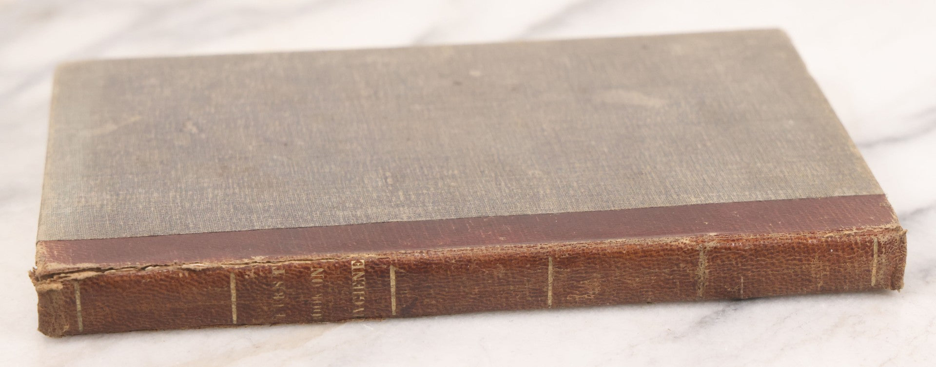 Lot 052 - "First Book On Anatomy, Physiology, And Hygiene, For Grammar Schools And Families" Antique Medical Book By Calvin Cutter, M.D. With 83 Engraved Illustrations, Stereotype Edition, Published By Benjamin B. Mussey & Co., Boston, 1850