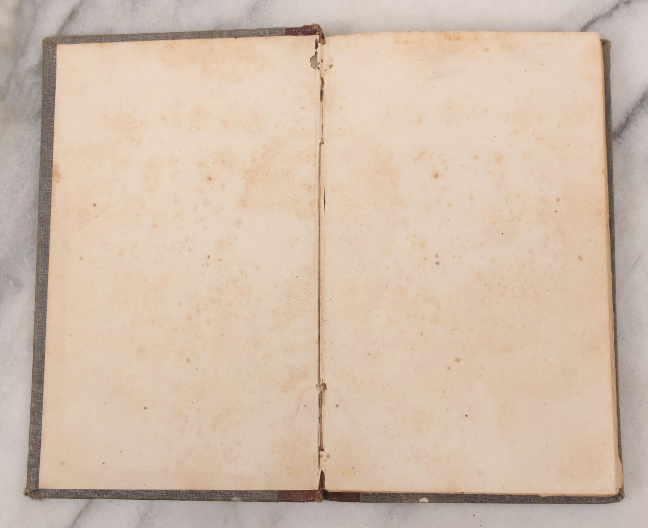 Lot 052 - "First Book On Anatomy, Physiology, And Hygiene, For Grammar Schools And Families" Antique Medical Book By Calvin Cutter, M.D. With 83 Engraved Illustrations, Stereotype Edition, Published By Benjamin B. Mussey & Co., Boston, 1850