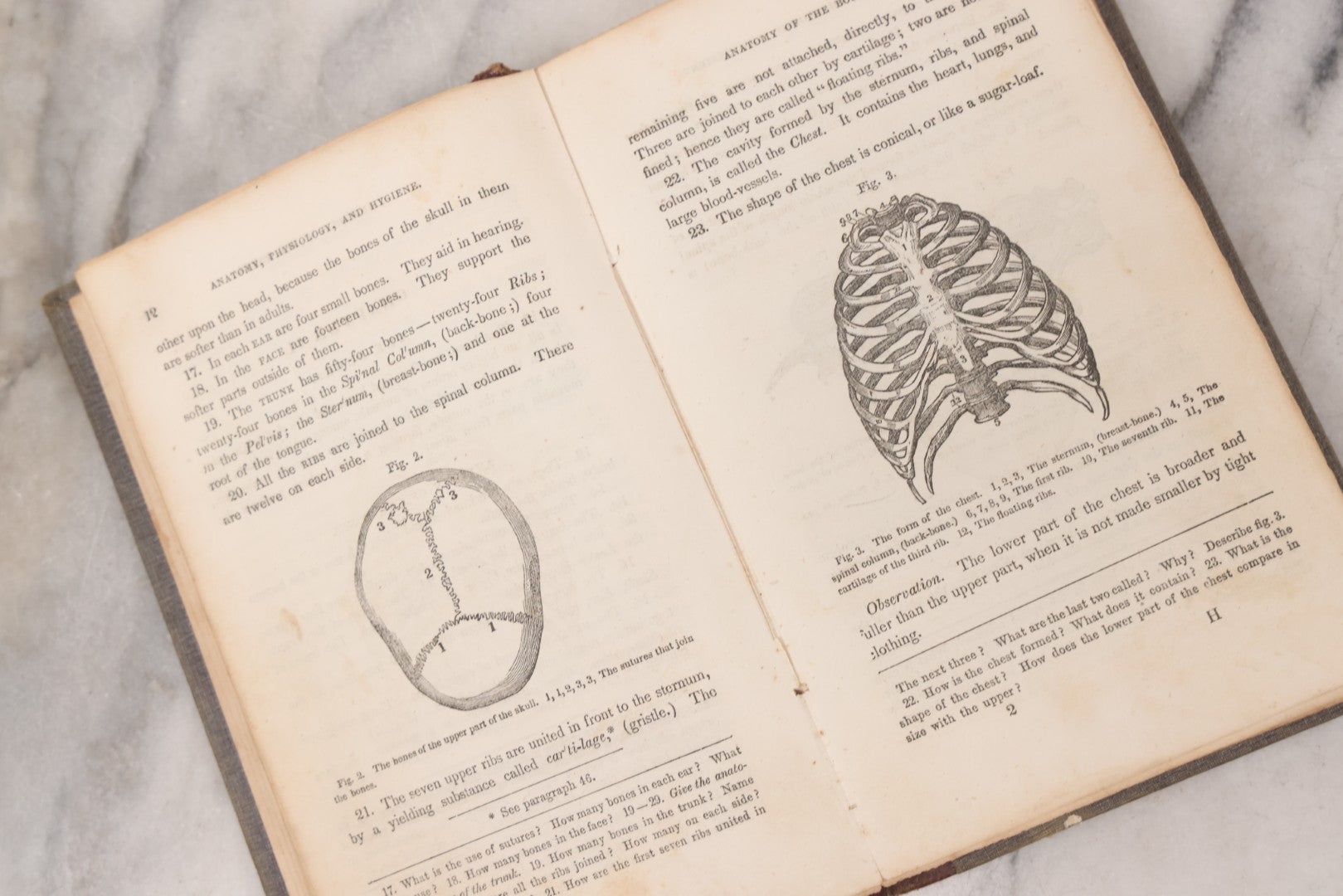 Lot 052 - "First Book On Anatomy, Physiology, And Hygiene, For Grammar Schools And Families" Antique Medical Book By Calvin Cutter, M.D. With 83 Engraved Illustrations, Stereotype Edition, Published By Benjamin B. Mussey & Co., Boston, 1850