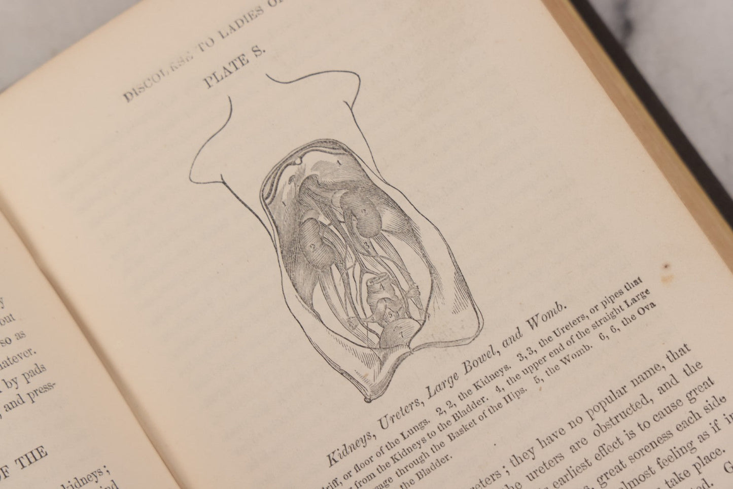 Lot 053 - "Dr. Fitch's Lectures On Consumption: Six Lectures On The Functions Of The Lungs" Antique Medical Book By Samuel Sheldon Fitch, A.M., M.D., With 30 Illustrations, Published By S.S. Fitch & Co., New York, 1959