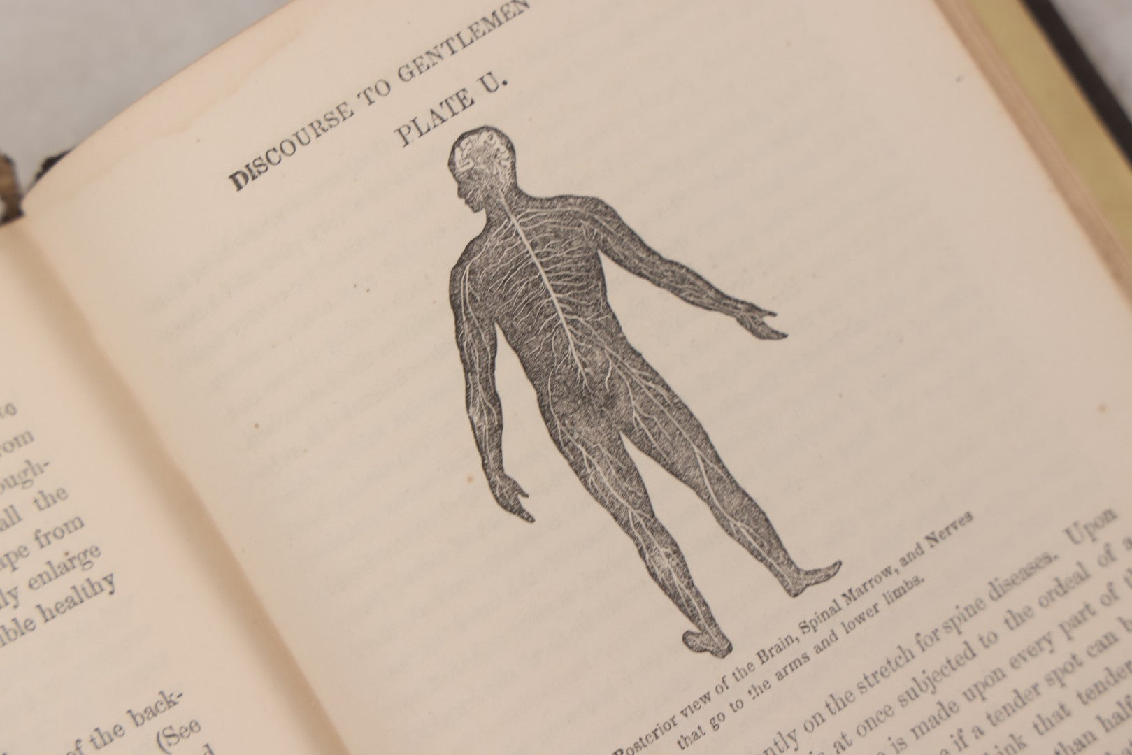 Lot 053 - "Dr. Fitch's Lectures On Consumption: Six Lectures On The Functions Of The Lungs" Antique Medical Book By Samuel Sheldon Fitch, A.M., M.D., With 30 Illustrations, Published By S.S. Fitch & Co., New York, 1959