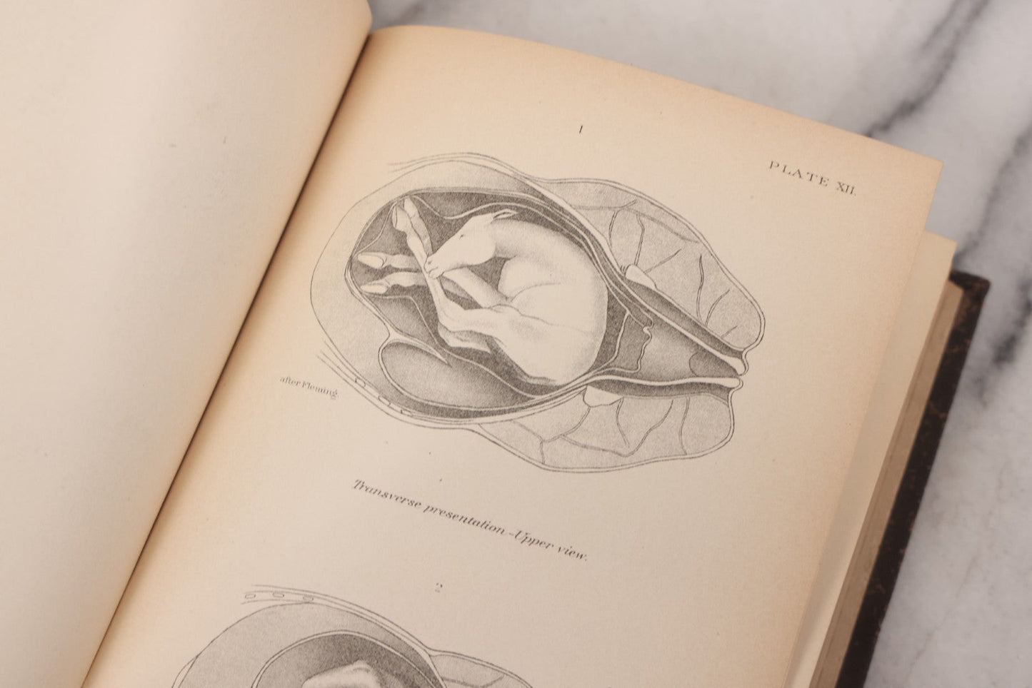 Lot 059 - "Special Report On Diseases Of The Horse" By Drs. Pearson, Michener, Law, Et Al., Illustrated, Published By The U.S. Department Of Agriculture, Bureau Of Animal Industry, Government Printing Office, Washington, 1903