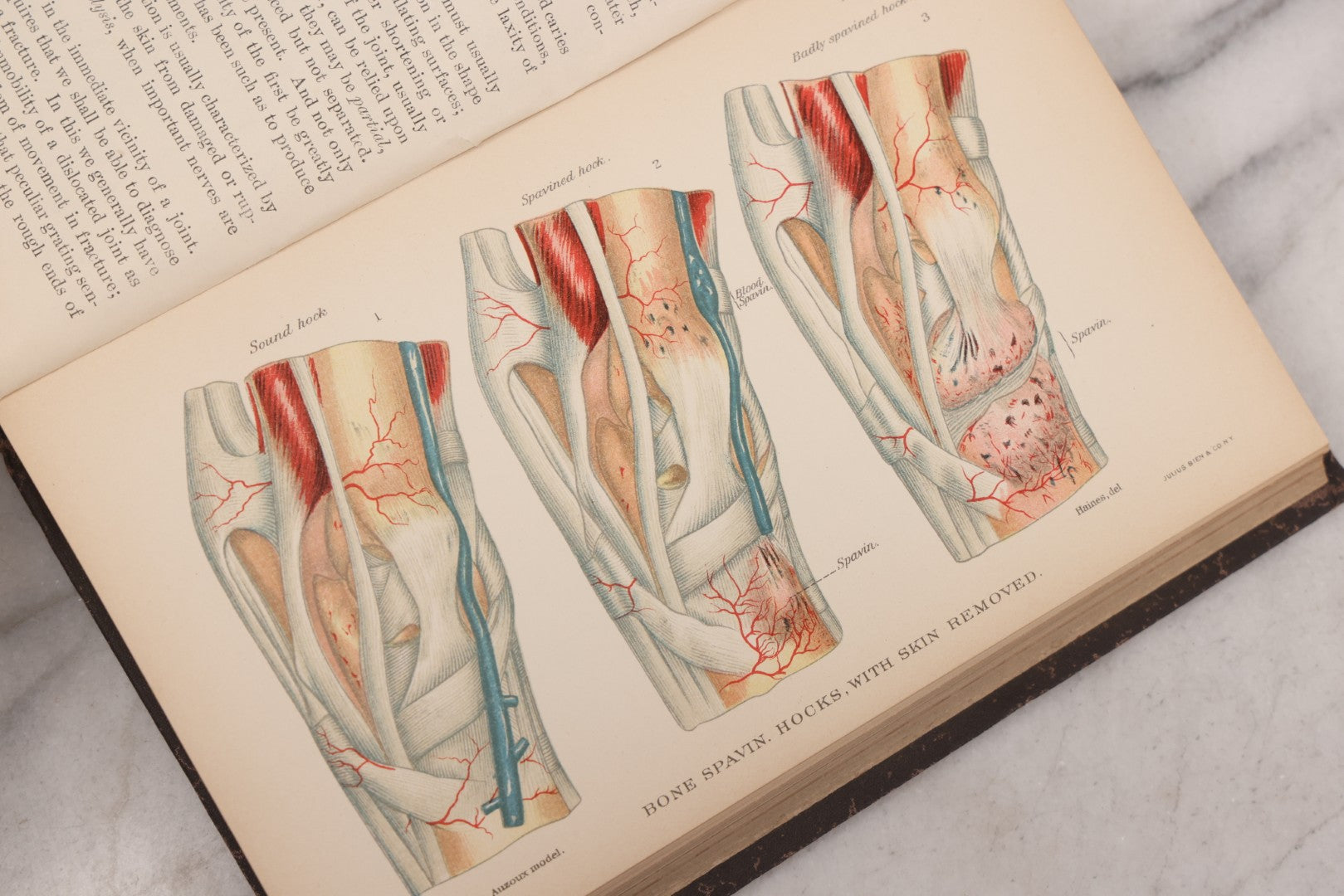 Lot 059 - "Special Report On Diseases Of The Horse" By Drs. Pearson, Michener, Law, Et Al., Illustrated, Published By The U.S. Department Of Agriculture, Bureau Of Animal Industry, Government Printing Office, Washington, 1903