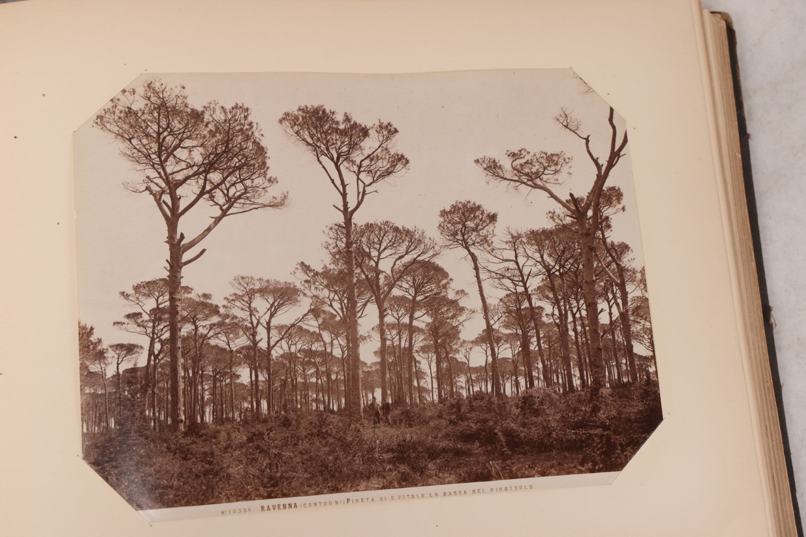 Lot 071 - Antique Photo Album With Approximately 100 Souvenir Photographs Of Landmarks In Italy, Including Churches And Cathedrals, Venice Canals, Ancient Ruins, Pompeii, Architecture, Doorways, Art And Statues