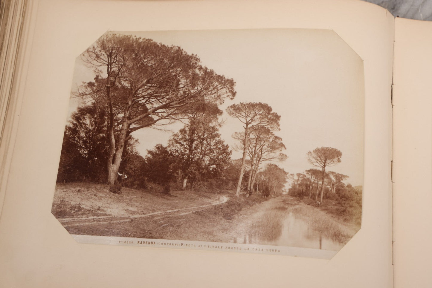 Lot 071 - Antique Photo Album With Approximately 100 Souvenir Photographs Of Landmarks In Italy, Including Churches And Cathedrals, Venice Canals, Ancient Ruins, Pompeii, Architecture, Doorways, Art And Statues