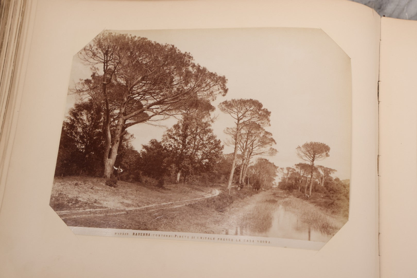 Lot 071 - Antique Photo Album With Approximately 100 Souvenir Photographs Of Landmarks In Italy, Including Churches And Cathedrals, Venice Canals, Ancient Ruins, Pompeii, Architecture, Doorways, Art And Statues