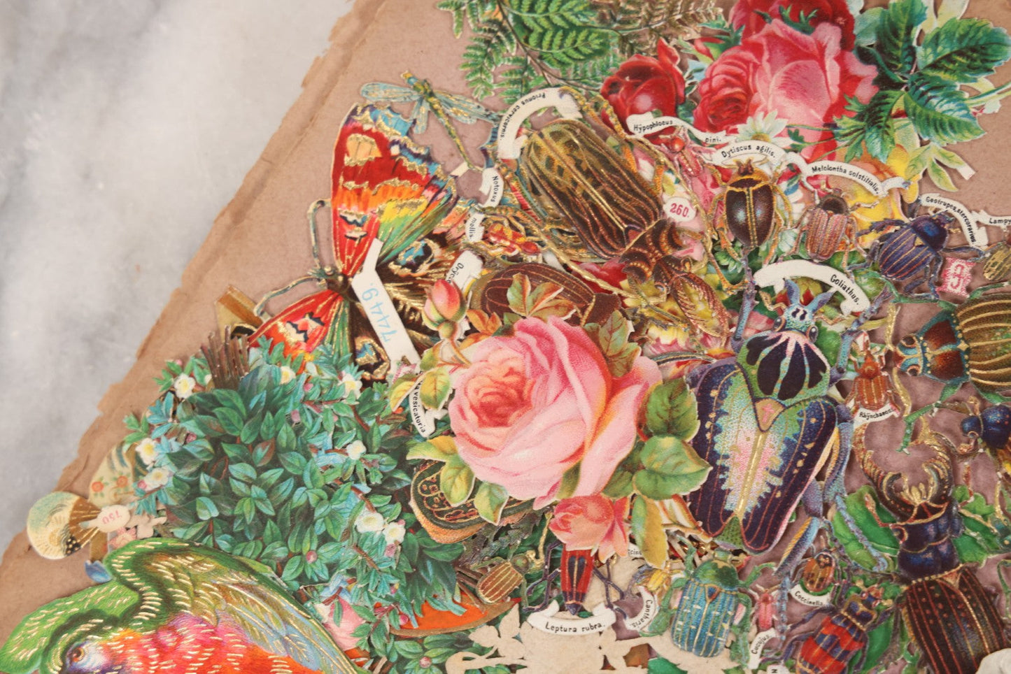 Lot 075 - Antique Die Cut Scrap Collection In Delicate Scrapbook, Containing Dozens Of Pieces, Mostly Made In Germany, Including People, Animals, Flowers, And Other Subjects, Not Glued To Book