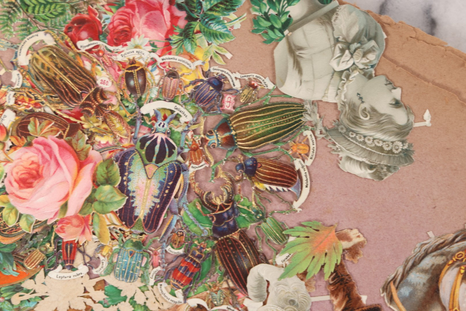 Lot 075 - Antique Die Cut Scrap Collection In Delicate Scrapbook, Containing Dozens Of Pieces, Mostly Made In Germany, Including People, Animals, Flowers, And Other Subjects, Not Glued To Book