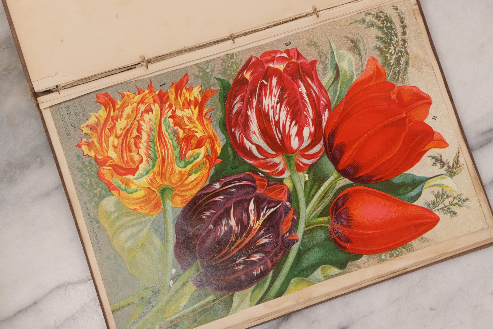 Lot 076 - Antique Victorian Scrapbook Album Containing Book And Newspaper Clippings, Die Cuts, Including Materials Related To Barnum Sideshow Performers Gen. Tom Thumb, Lavinia And Minnie Warren, Count And Countess Magri, Many Pieces Related To Vermont