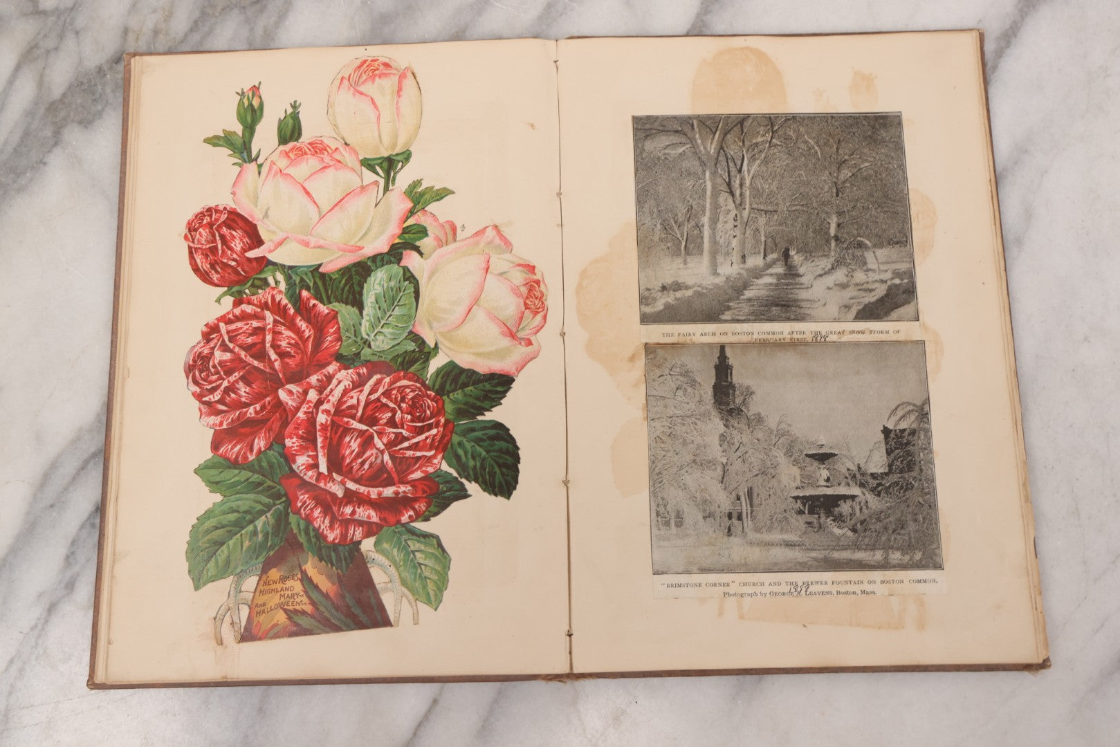 Lot 076 - Antique Victorian Scrapbook Album Containing Book And Newspaper Clippings, Die Cuts, Including Materials Related To Barnum Sideshow Performers Gen. Tom Thumb, Lavinia And Minnie Warren, Count And Countess Magri, Many Pieces Related To Vermont