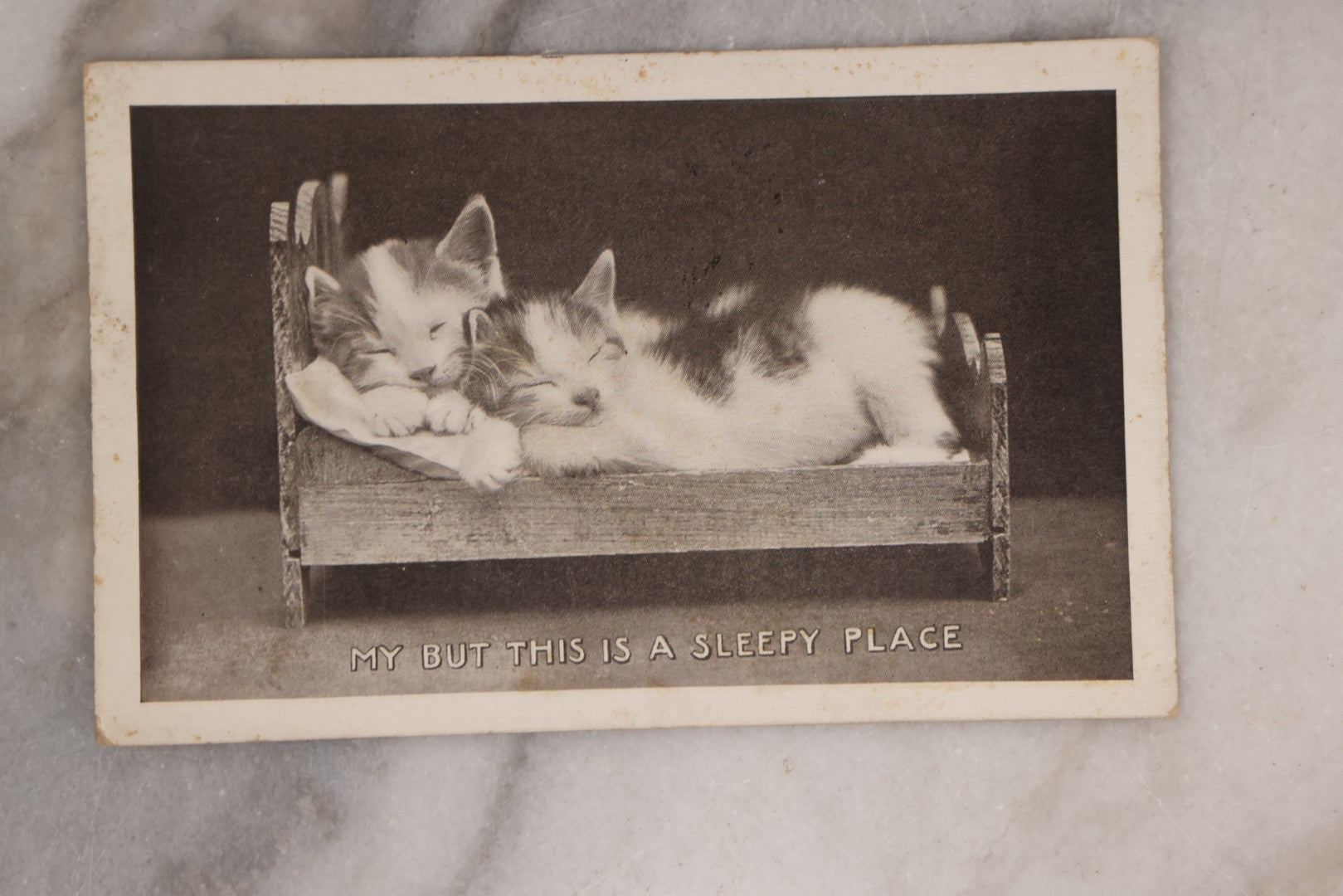 Lot 083 - Pair Of Antique Postcards Of Anthropomorphic Kittens, Including Cats Snuggling In Bed And Driving Automobile, "You Auto Be With Us," Both Postmarked 1912