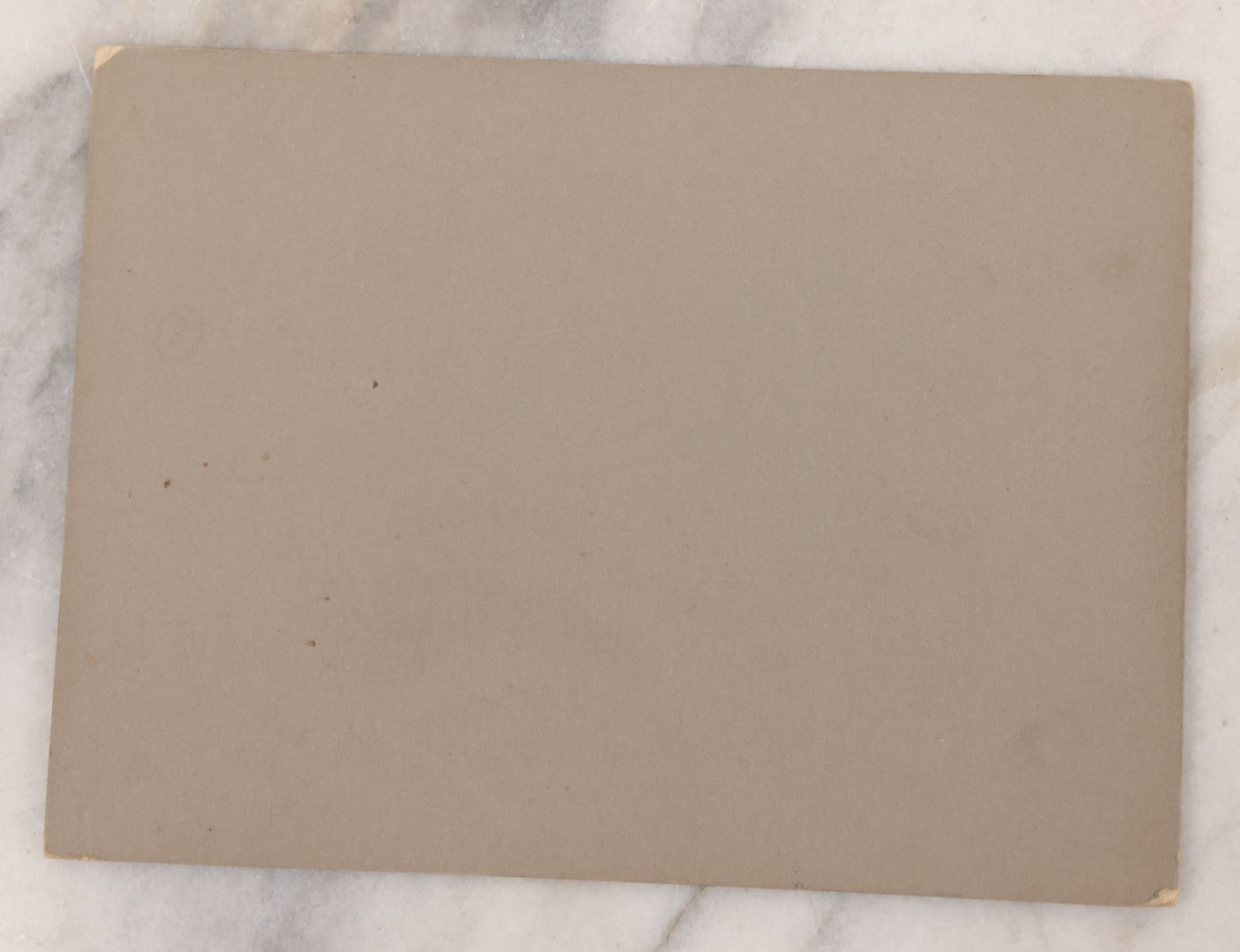 Lot 095 - Antique Boarded Photograph Of An Engorged Black And White Cow With Giant Udder