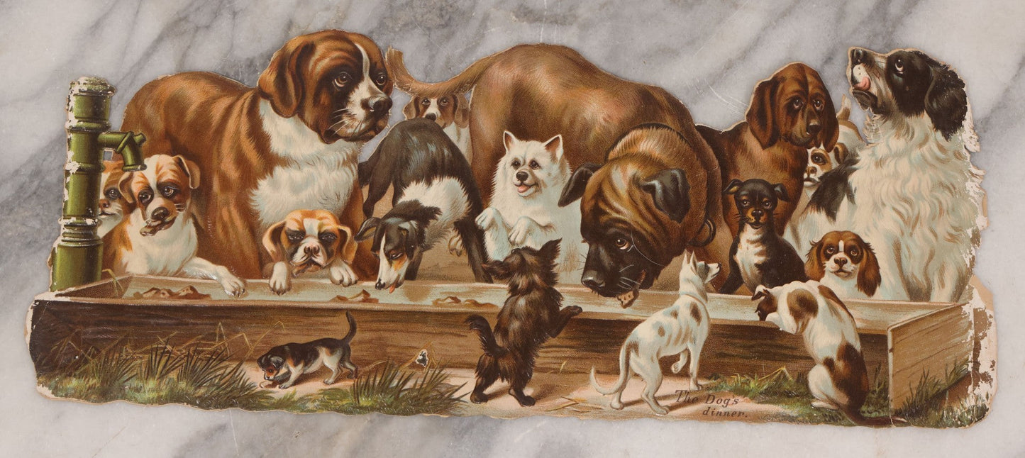 Lot 113 - Antique Lithographed Die Cut Scrap Of Dogs And Puppies Eating Out Of A Trough, Many Breeds Shown, Titled "The Dog's Dinner"