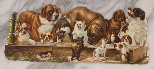 Lot 113 - Antique Lithographed Die Cut Scrap Of Dogs And Puppies Eating Out Of A Trough, Many Breeds Shown, Titled "The Dog's Dinner"