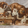 Lot 113 - Antique Lithographed Die Cut Scrap Of Dogs And Puppies Eating Out Of A Trough, Many Breeds Shown, Titled "The Dog's Dinner"