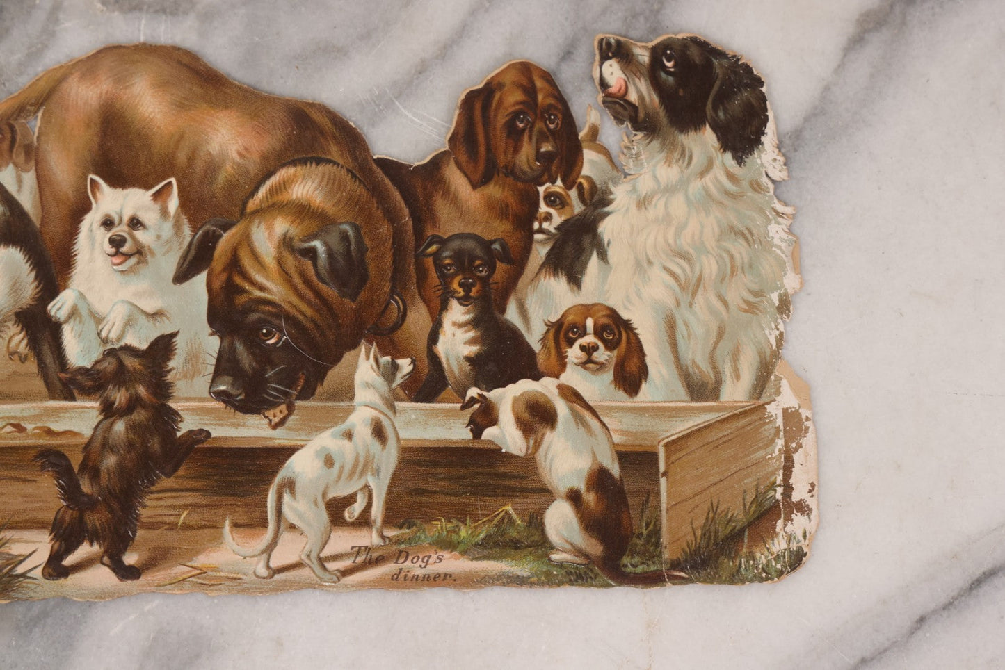 Lot 113 - Antique Lithographed Die Cut Scrap Of Dogs And Puppies Eating Out Of A Trough, Many Breeds Shown, Titled "The Dog's Dinner"