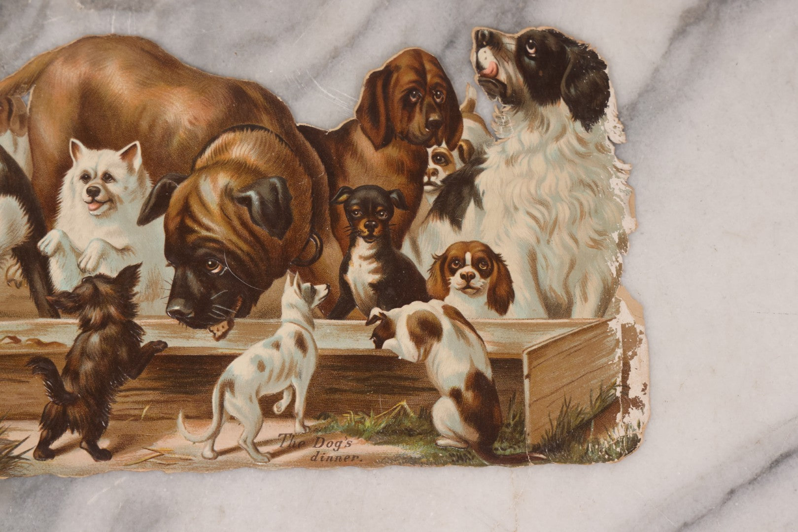 Lot 113 - Antique Lithographed Die Cut Scrap Of Dogs And Puppies Eating Out Of A Trough, Many Breeds Shown, Titled "The Dog's Dinner"