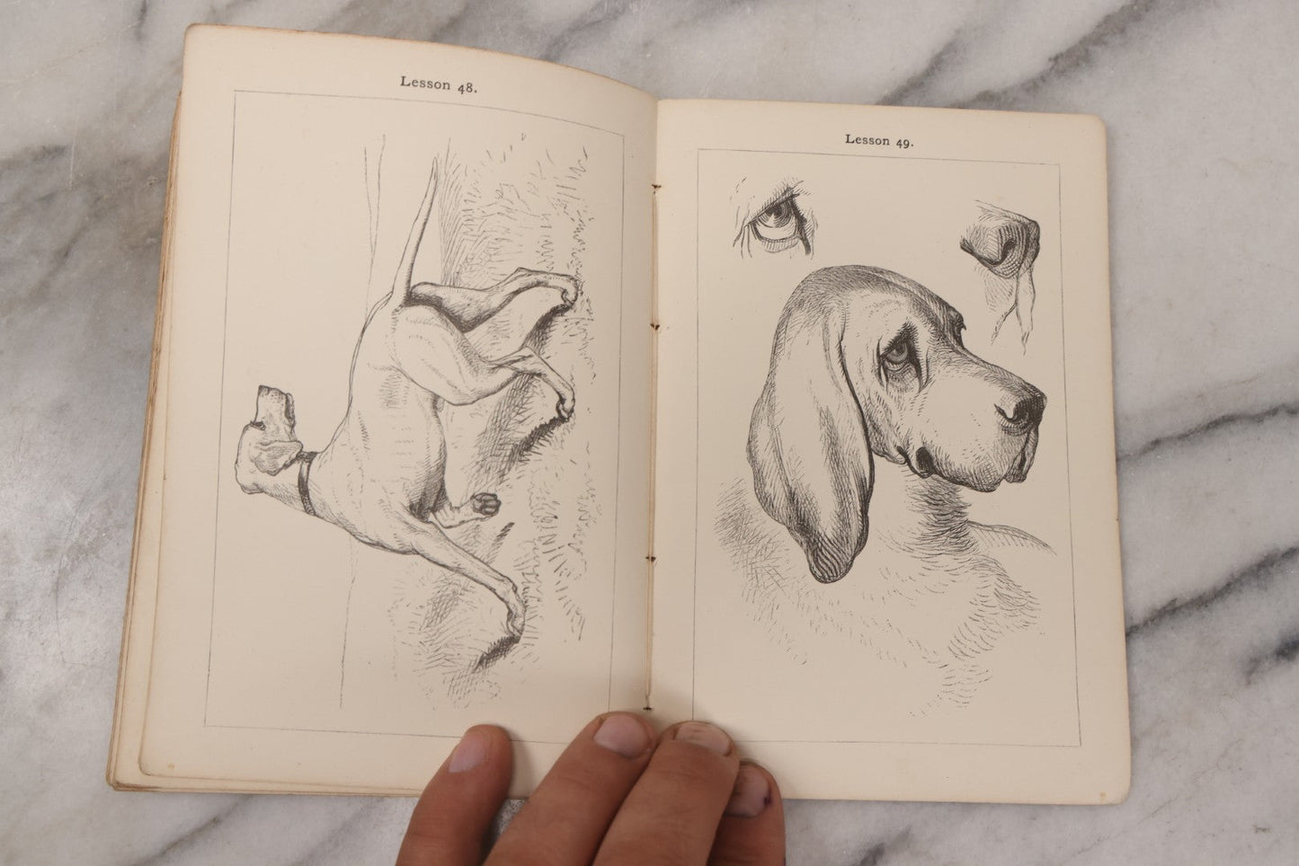 Lot 131 - "A Progressive Drawing Book For Beginners" Antique Art Drawing Book By Philip H. Delamotte, Published By Macmillan And Co., London, 1969, With Illustrated Lessons And Examples