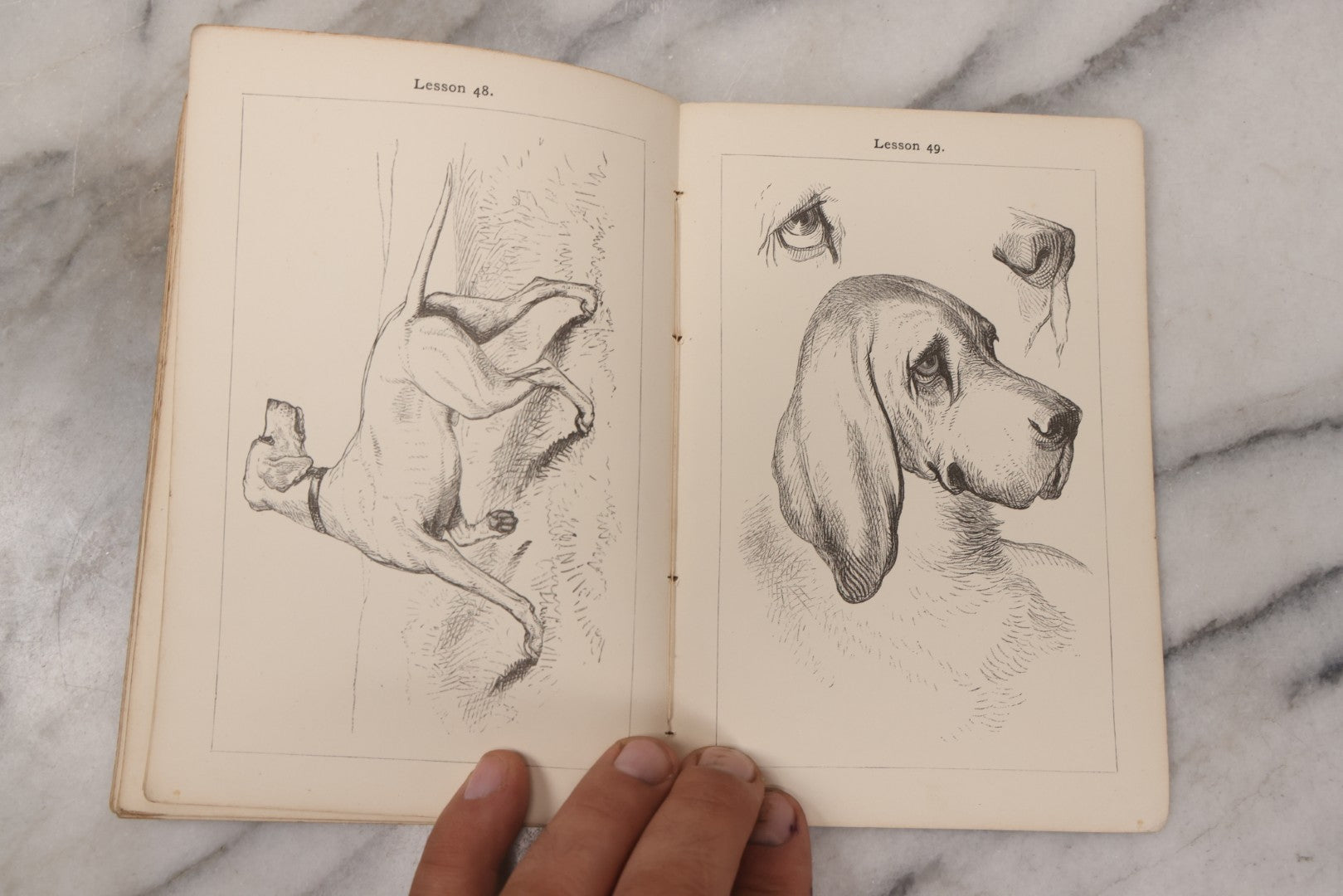 Lot 131 - "A Progressive Drawing Book For Beginners" Antique Art Drawing Book By Philip H. Delamotte, Published By Macmillan And Co., London, 1969, With Illustrated Lessons And Examples