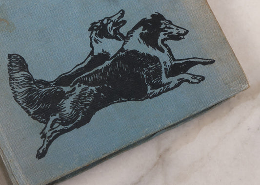 Lot 137 - "Lad Of Sunnybank" Antique Novel By Albert Payson Terhune, Illustrations Of Collies On Front Cover, Inside Covers And Title Page, Published By Grosset & Dunlap, New York, 1929
