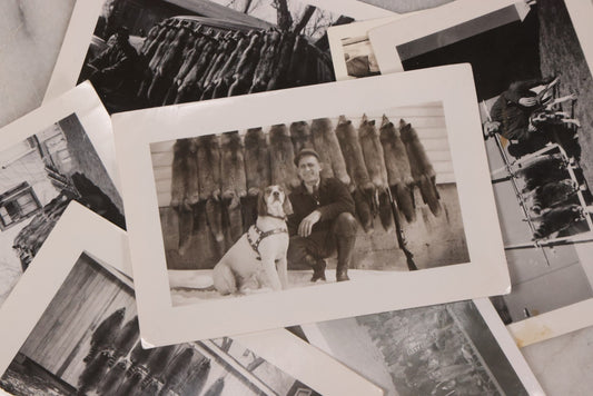 Lot 165 - Grouping Of Nine Vintage Snapshot Photographs Of Outdoorsmen, Hunters, Trappers, Fisherman, And Their Catches, Including Many Photos Of Furs, Hunting Dogs, Etc.