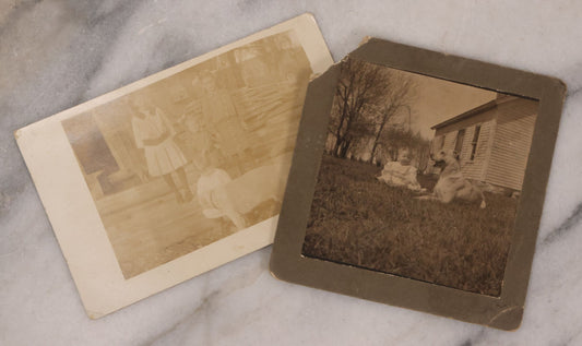 Lot 167 - Pair Of Antique Photographs Of Children And Their Dogs Including Boarded Photo Of Baby And Dog, And R.P.P.C. Of Four Children And Their Dog