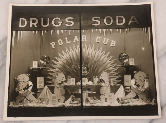 Lot 175 - Single 8 X 10 Photo Of Drug Store Polar Cub Display 
