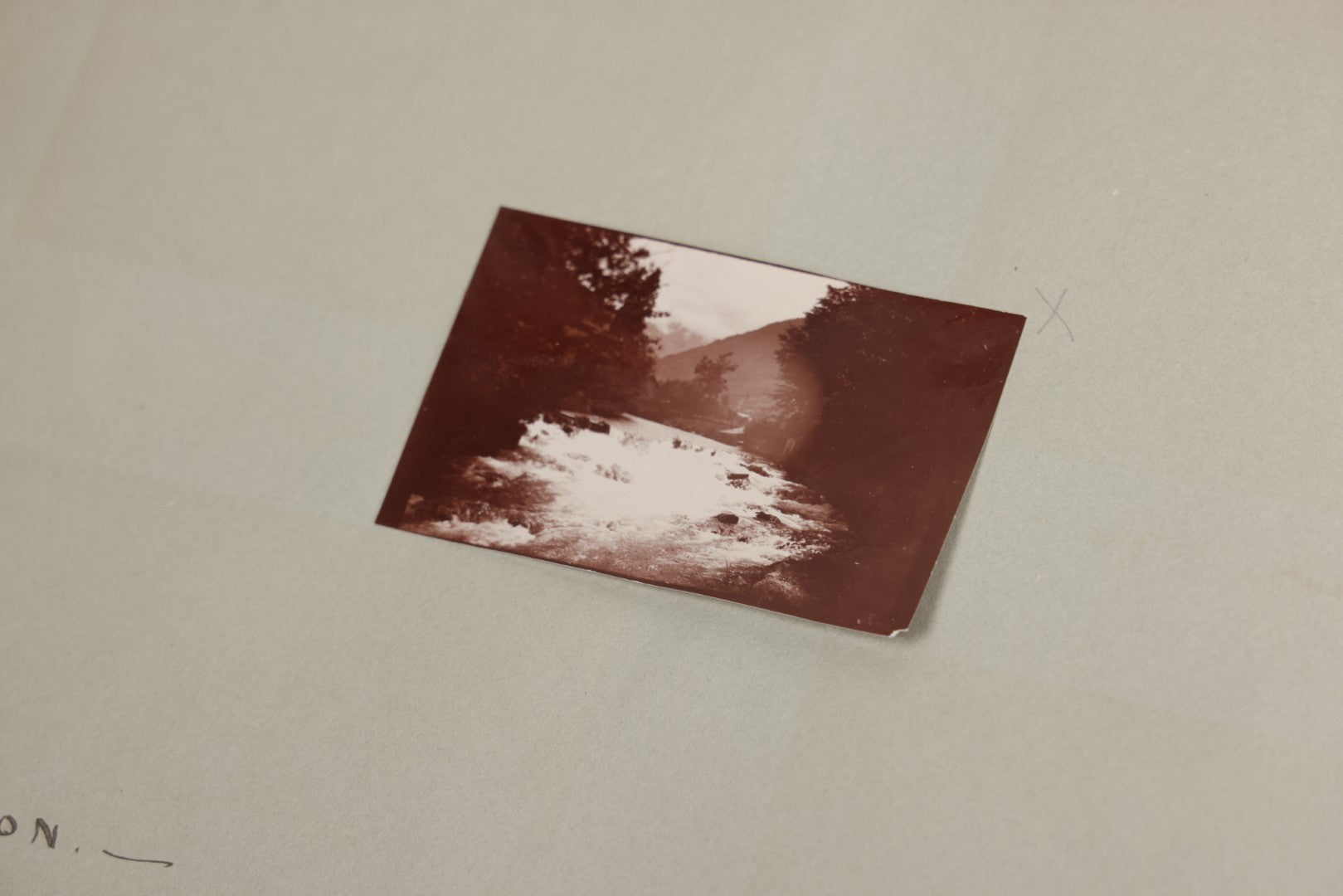 Lot 004 - Antique Snapshot Photo Album Containing 175+ Photographs Documenting A Tour Of The Mediterranean, Spring 1899, Including Photos Aboard The S.S. Aller (German), In And Around Italy, Monte Carlo, France, And Spain