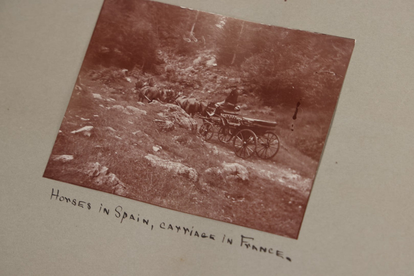 Lot 004 - Antique Snapshot Photo Album Containing 175+ Photographs Documenting A Tour Of The Mediterranean, Spring 1899, Including Photos Aboard The S.S. Aller (German), In And Around Italy, Monte Carlo, France, And Spain