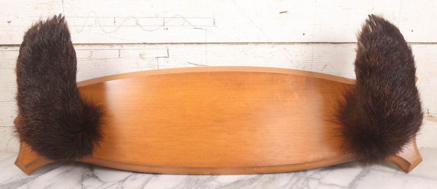 Lot 021 - Vintage Bear Claw Taxidermy Wall Hanging Rifle Rack With Wood Shield Board, 29-3/4" x 7-7/8"