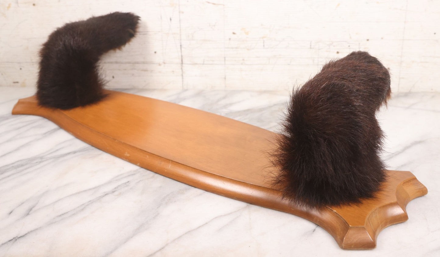 Lot 021 - Vintage Bear Claw Taxidermy Wall Hanging Rifle Rack With Wood Shield Board, 29-3/4" x 7-7/8"