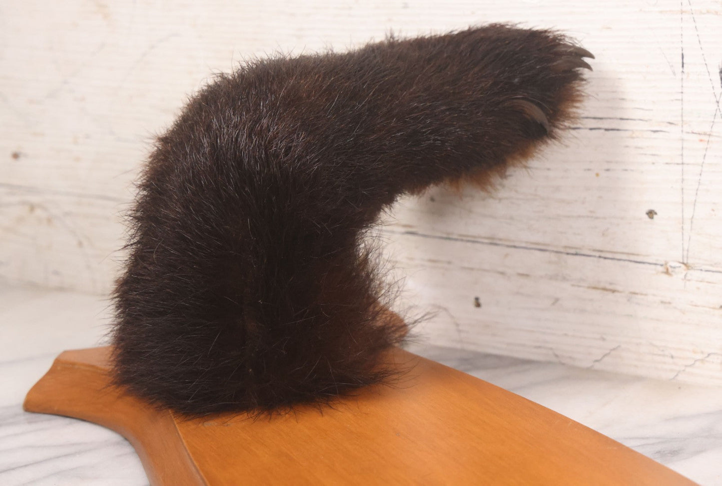 Lot 021 - Vintage Bear Claw Taxidermy Wall Hanging Rifle Rack With Wood Shield Board, 29-3/4" x 7-7/8"