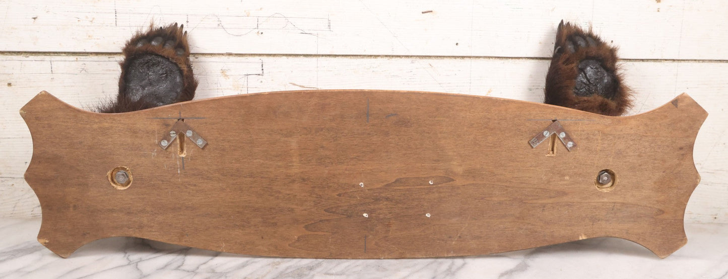 Lot 021 - Vintage Bear Claw Taxidermy Wall Hanging Rifle Rack With Wood Shield Board, 29-3/4" x 7-7/8"