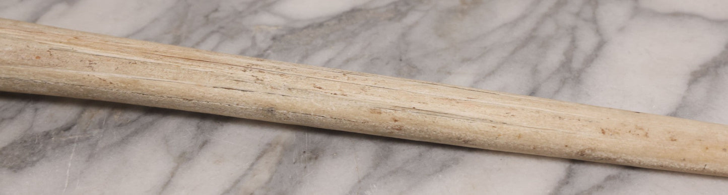 Lot 028 - Vintage Marlin Bill Taxidermy, 27-1/2" Length