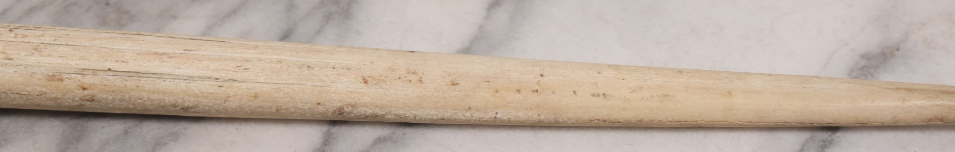 Lot 028 - Vintage Marlin Bill Taxidermy, 27-1/2" Length