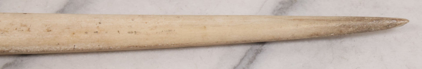 Lot 028 - Vintage Marlin Bill Taxidermy, 27-1/2" Length