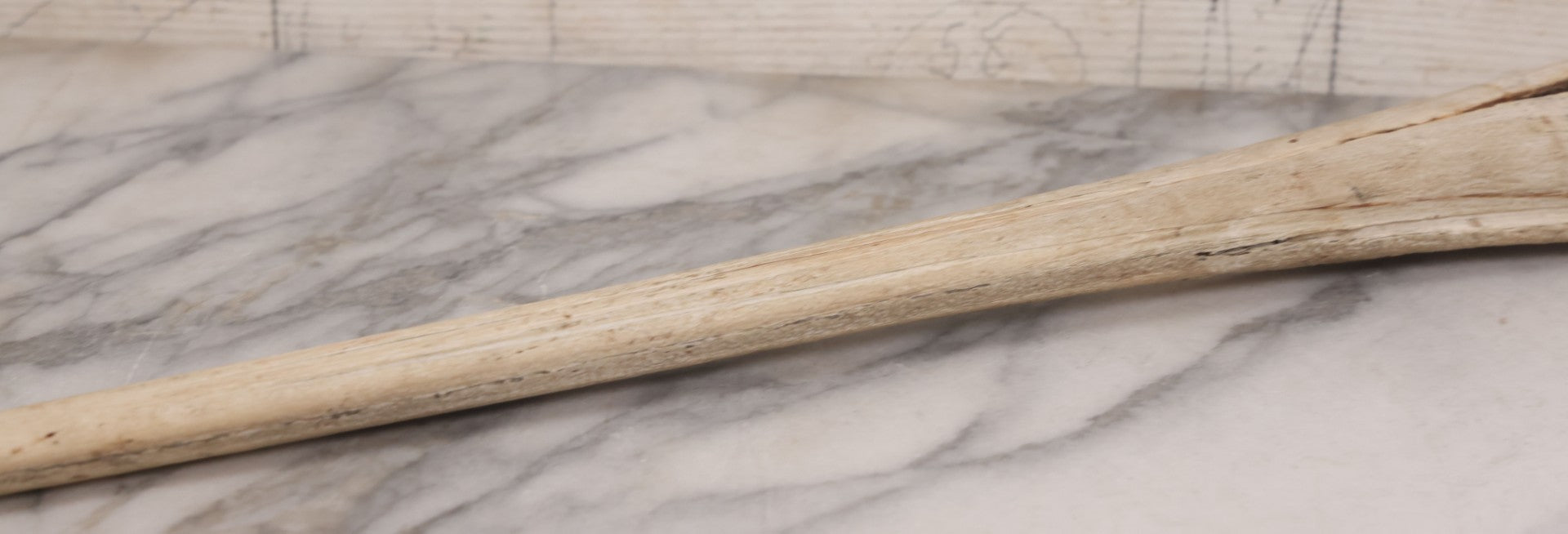 Lot 028 - Vintage Marlin Bill Taxidermy, 27-1/2" Length