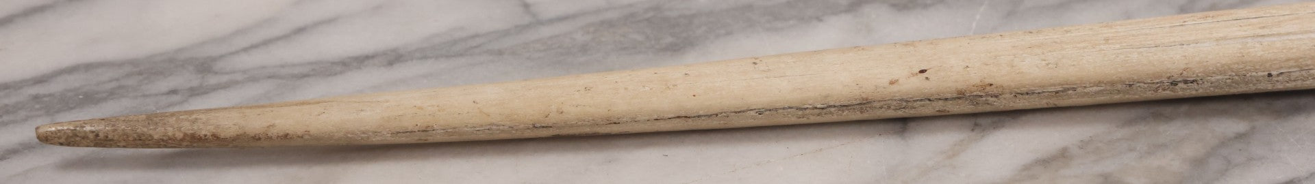 Lot 028 - Vintage Marlin Bill Taxidermy, 27-1/2" Length