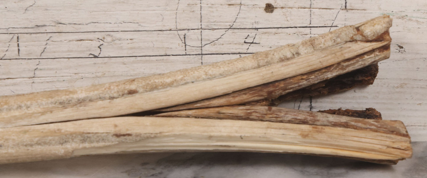 Lot 028 - Vintage Marlin Bill Taxidermy, 27-1/2" Length