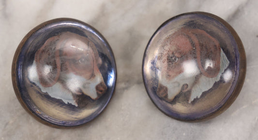 Lot 059 - Antique Pair Of Matching Bridle Rosettes, Reverse Applied Hound Dog Decals With Blue Surround, Glass Dome And Brass Fixture