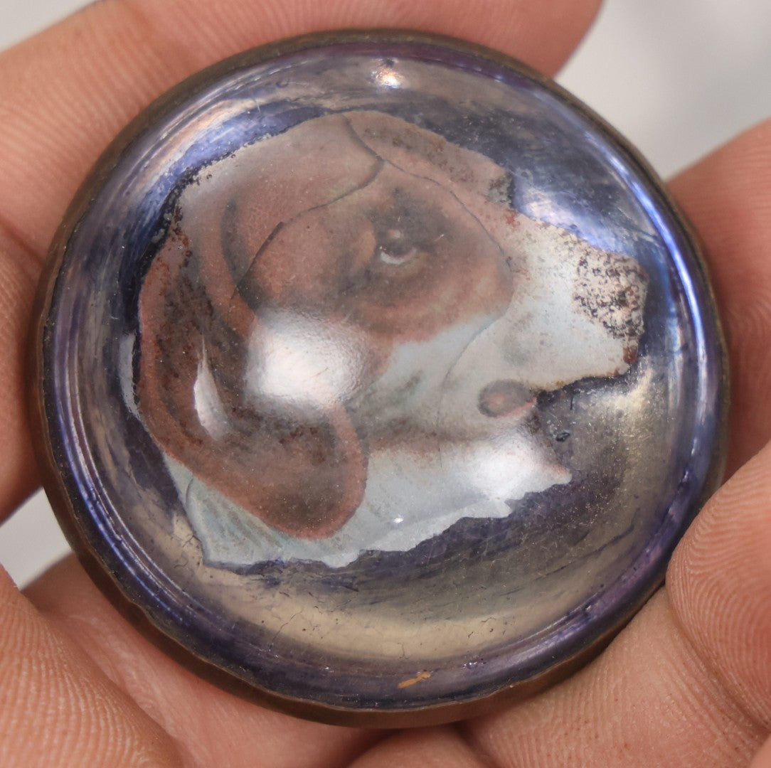 Lot 059 - Antique Pair Of Matching Bridle Rosettes, Reverse Applied Hound Dog Decals With Blue Surround, Glass Dome And Brass Fixture