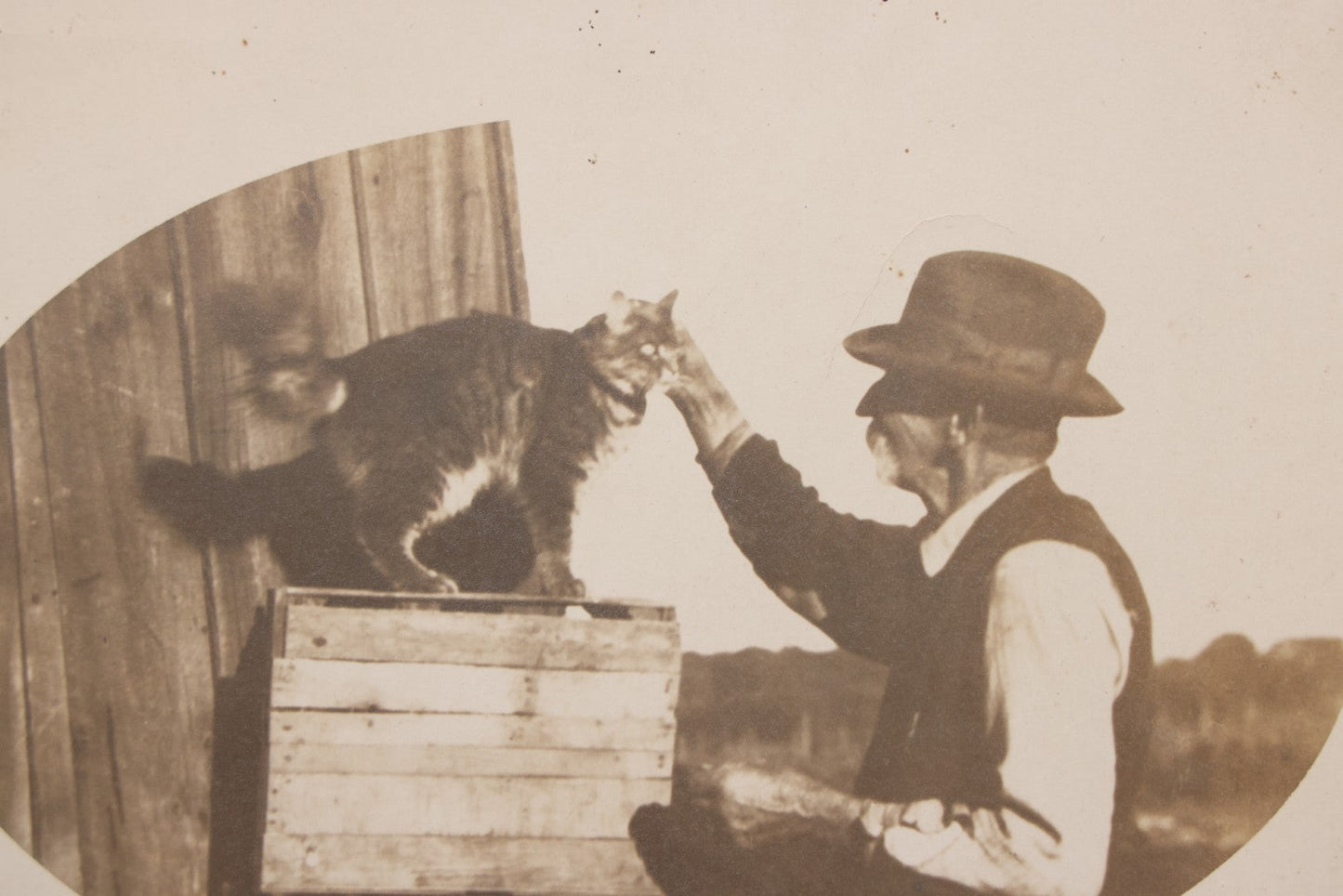 Lot 070 - Antique Unmounted Paper Photograph Of Old Man Petting Cat Standing On Crates, Postcard Style Paper