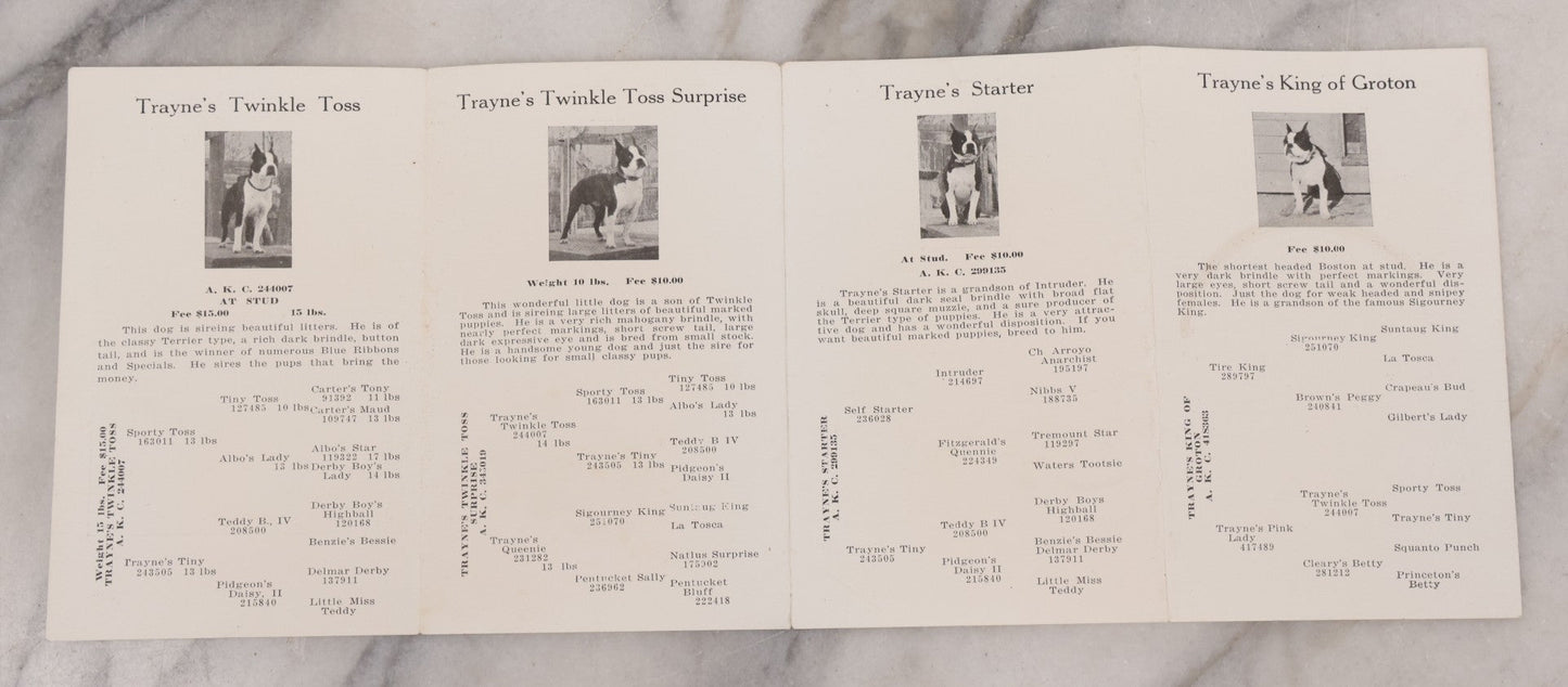 Lot 080 - Vintage Dog Breeder's Advertising Brochure, " A Few Bow-Wows From The Groton Kennels," Featuring Breeding Stock Boston Terrier Dogs, Fold Out Pamphlet, Mrs. Maud E. Trayne, Proprietress, Groton, Massachusetts