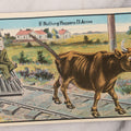 Lot 100 - Antique Comic Novelty Mechanical Postcard , "If Nothing Happens I'll Arrive," With Cow And Real Spring Tail, Speeding Train, Published By Schmidt Bros. & Co., Chicago, Circa 1912