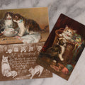 Lot 114 - Grouping Of Three Antique Cat Postcards, "An Afternoon Call" Illustrated Postcard With Poem, And Embossed "Birthday Greetings" Postcards From The Raphael Tuck & Sons Series No. 105, Printed In Saxony