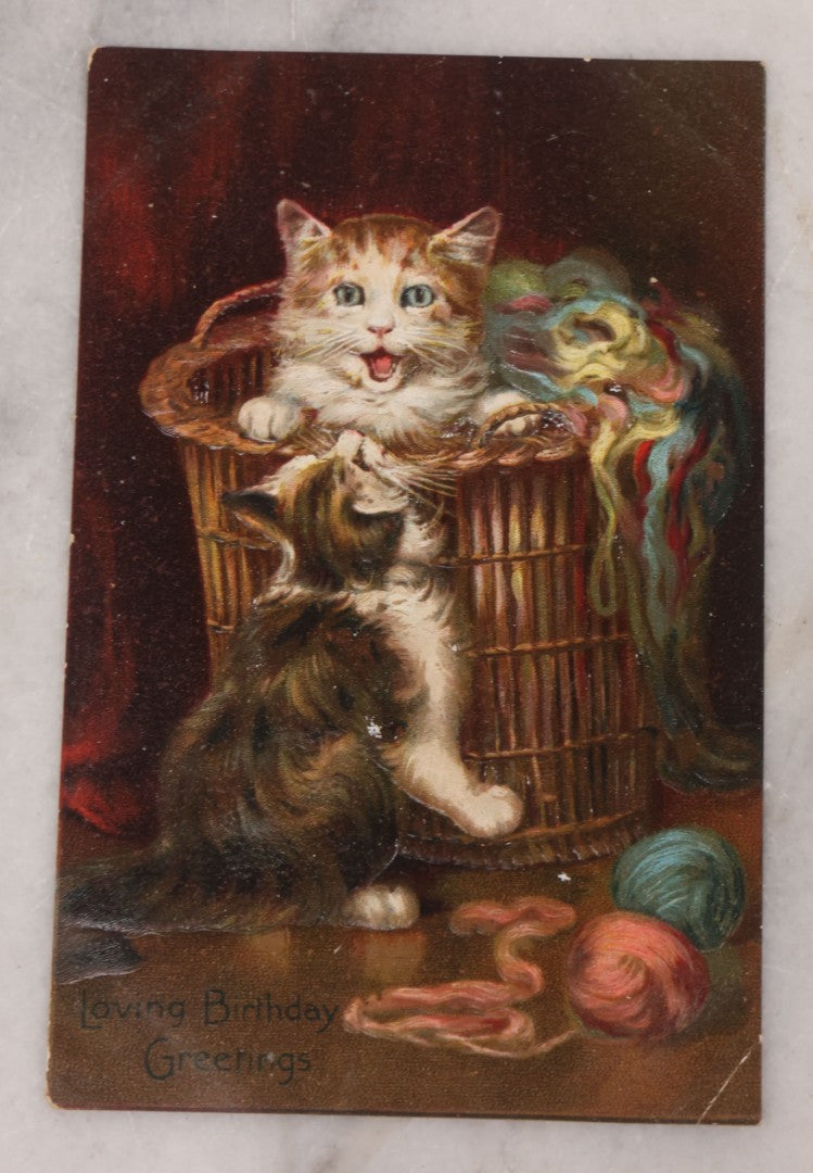Lot 114 - Grouping Of Three Antique Cat Postcards, "An Afternoon Call" Illustrated Postcard With Poem, And Embossed "Birthday Greetings" Postcards From The Raphael Tuck & Sons Series No. 105, Printed In Saxony