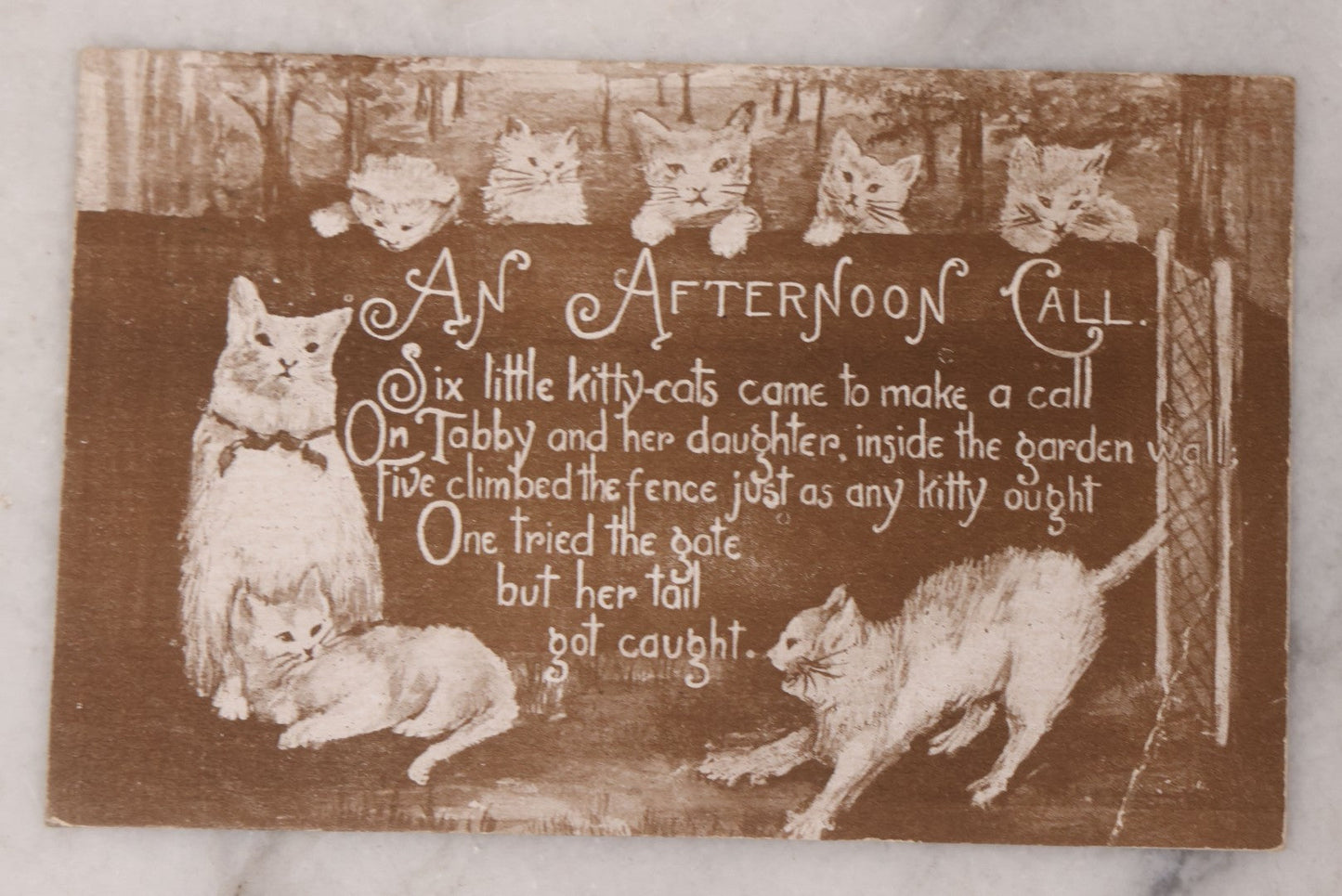 Lot 114 - Grouping Of Three Antique Cat Postcards, "An Afternoon Call" Illustrated Postcard With Poem, And Embossed "Birthday Greetings" Postcards From The Raphael Tuck & Sons Series No. 105, Printed In Saxony