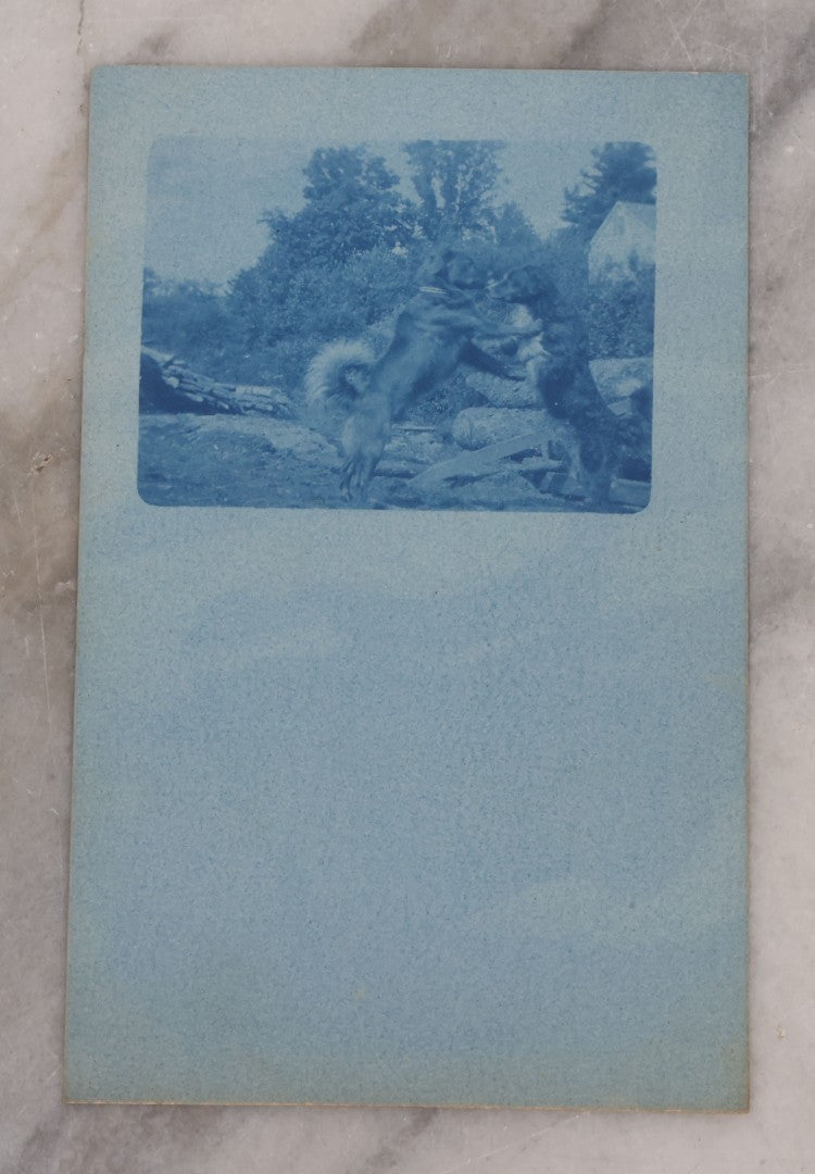 Lot 115 - Grouping Of Two Antique Dog Postcards, Cyanotype Real Photo Postcard R.P.P.C. Of Two Dogs Playing And Wrestling, And "First Lesson In Art" Illustration Of Young Girl Reading To Two Attentive Daschunds 